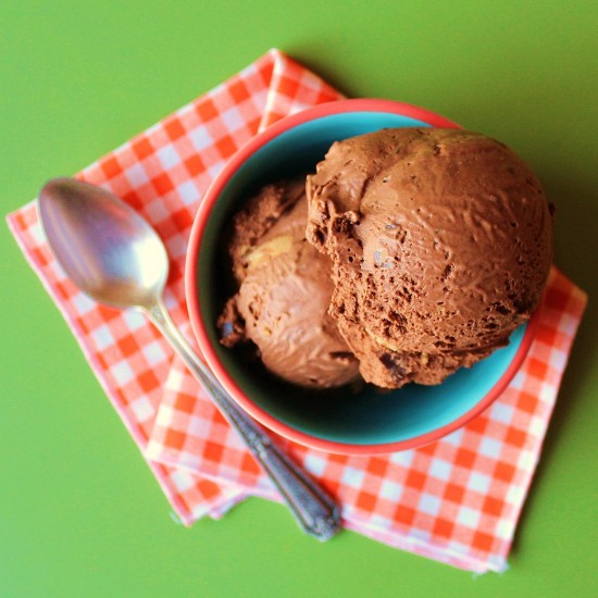 A bowl of Chocolate Peanut Butter Ice Cream